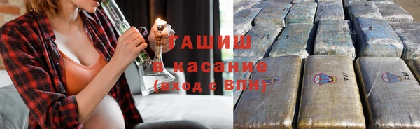 прущие грибы Бородино