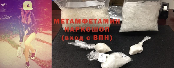 прущие грибы Бородино