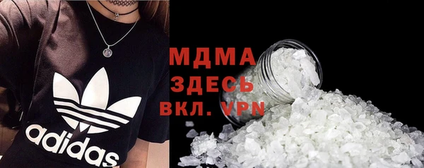 прущие грибы Бородино