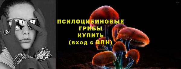 прущие грибы Бородино