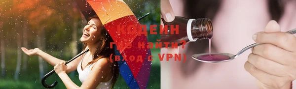 прущие грибы Бородино