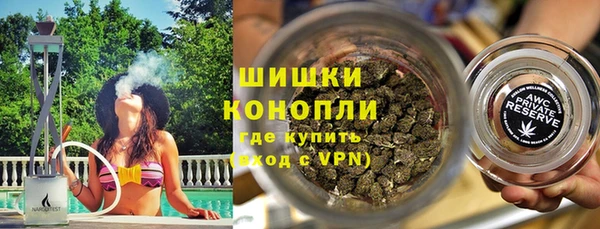 прущие грибы Бородино