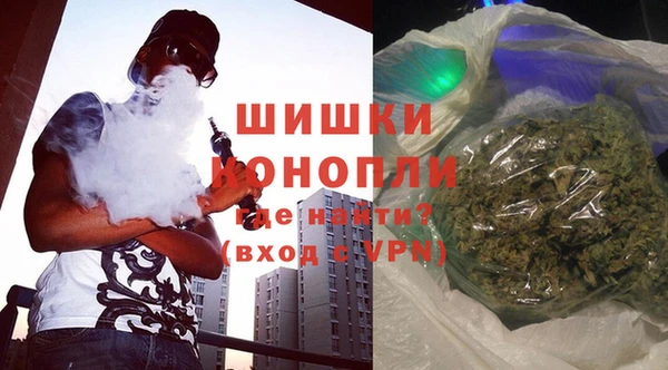 прущие грибы Бородино