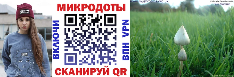 Галлюциногенные грибы прущие грибы Гаврилов-Ям