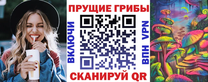 Псилоцибиновые грибы GOLDEN TEACHER  Купить где  Гаврилов-Ям 